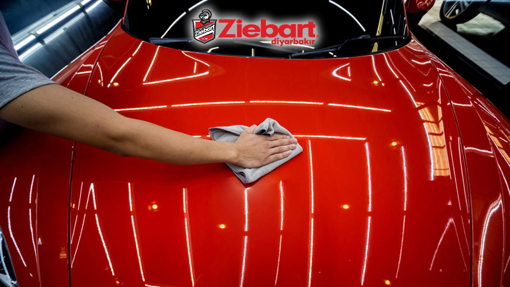 Diyarbakır Boya Koruma